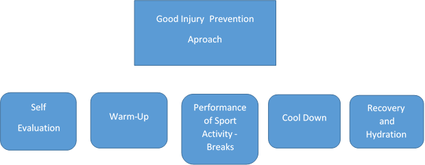 sports injuries figure 1